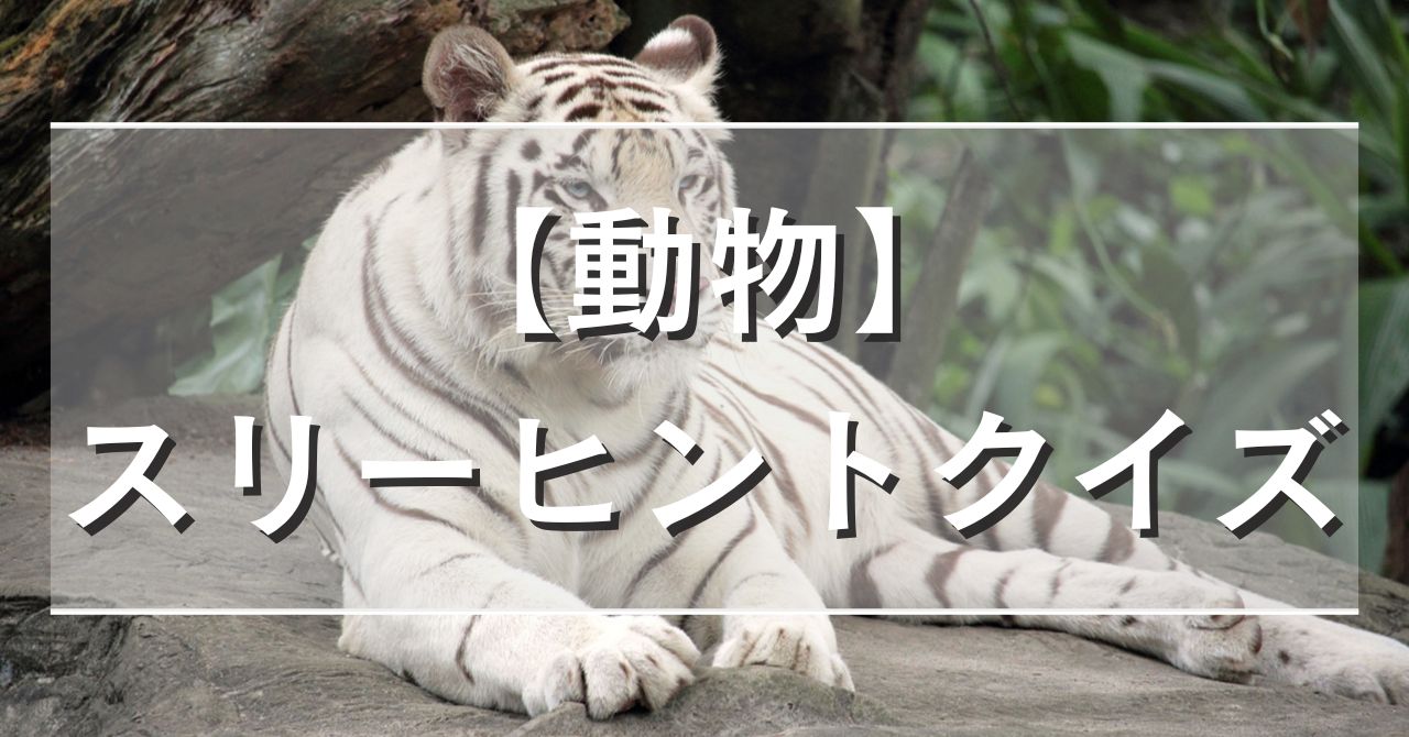 【動物】スリーヒントクイズ